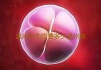 温州代生收费多少温州供卵助孕机构排名已发布‘验血怎么看男女宝宝准不准’