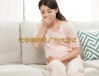代孕供卵网,广州代孕试管网