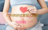 广州供卵试管婴儿医院,广州供卵试管要求-助孕机构代怀